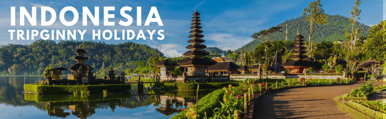 Indonesia Unveiled - Discover the Archipelago of Wonders & Book  Unforgettable Experiences Meta Description: Immerse yourself in the  breathtaking beauty of Indonesia, an archipelago of wonders known for its  pristine beaches, vibrant