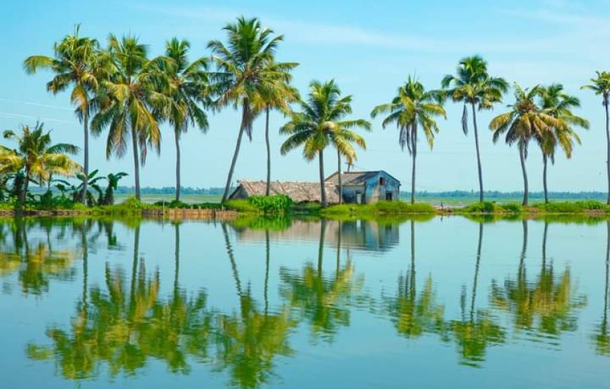 Kerala Tour – 3 Nights and 4 Days (Deluxe)