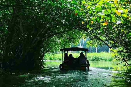 Kerala Tour – 2 Nights and 3 Days (Deluxe)