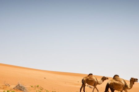 Best of Oman Tour Packages (4 Nigths / 5 Days)