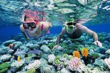 Explore Andaman: Ultimate Fun – 8 Person (April. 23 – Sep. 23) 7 Nights/8 Days 3 Star* Accommodation