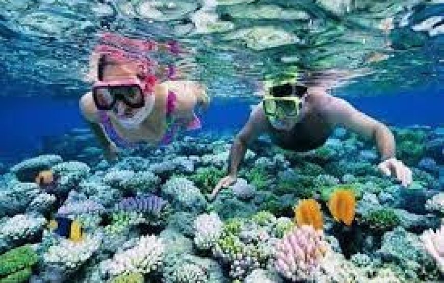 Explore Andaman: Ultimate Fun – 10 Person (April. 23 – Sep. 23) 6 Nights/7 Days 3 Star* Accommodation