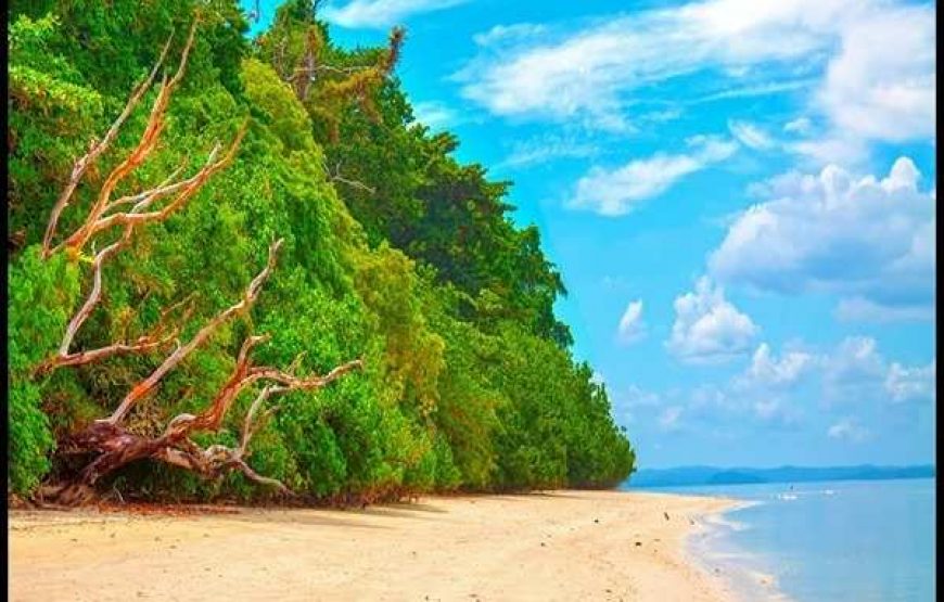 Explore Andaman : Ultimate Fun – 04 Persons (April. 23 – Sep. 23) (05 Nights / 06 Days) 4 Star Deluxe Accommodation