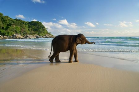 Explore Andaman : Ultimate Fun – 08 Persons (April. 23 – Sep. 23) (04 Nights / 05 Days) 4 Star Luxury Accommodation