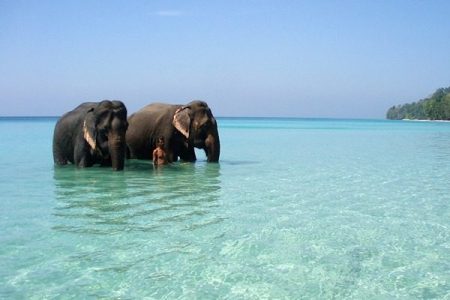 Explore Andaman : Ultimate Fun – 10 Persons (April. 23 – Sep. 23) (04 Nights / 05 Days) 4 Star Accommodation