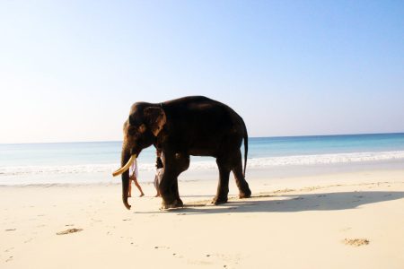 Explore Andaman : Ultimate Fun – 10 Persons (April. 23 – Sep. 23) (04 Nights / 05 Days) 3 Star Accommodation