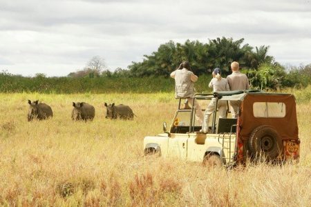 Mikumi and Nyerere National park Trip (06 Nights / 07 Days) 04 Person