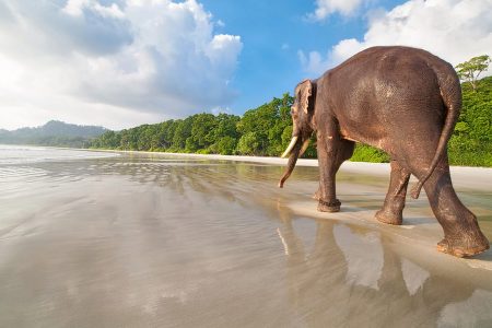 Explore Andaman : Ultimate Fun – 08 Persons (April. 23 – Sep. 23) (04 Nights / 05 Days) 3 Star Deluxe Accommodation
