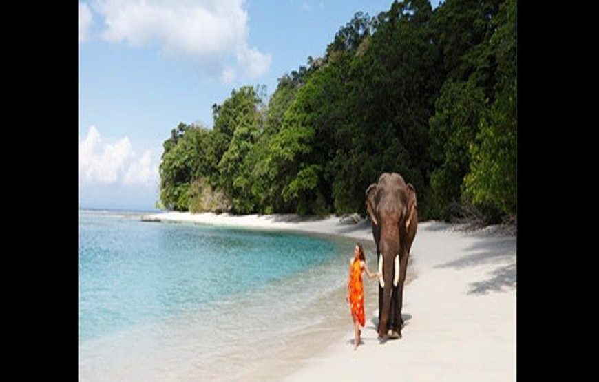 Explore Andaman : Ultimate Fun – 04 Persons (April. 23 – Sep. 23) (05 Nights / 06 Days) 4 Star Accommodation