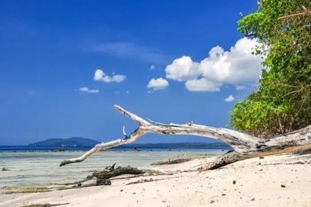 Explore Andaman : Ultimate Fun – 10 Persons (April. 23 – Sep. 23) (04 Nights / 05 Days) 4 Star Deluxe Accommodation