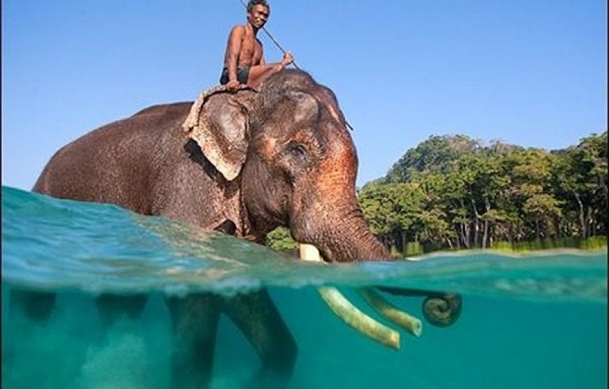 Explore Andaman : Ultimate Fun – 10 Persons (April. 23 – Sep. 23) (05 Nights / 06 Days) 3 Star Deluxe Accommodation