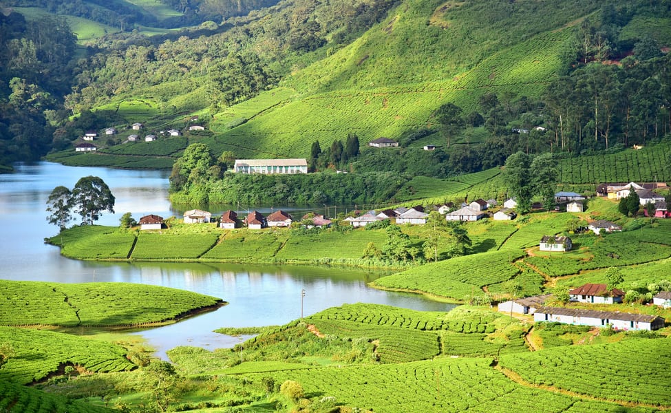 10 must-see places in Munnar in Kerala