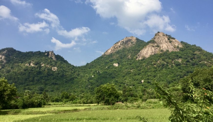 Ajodhya Hill and Forest Reserve Area