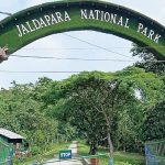 Jaldapara National Park