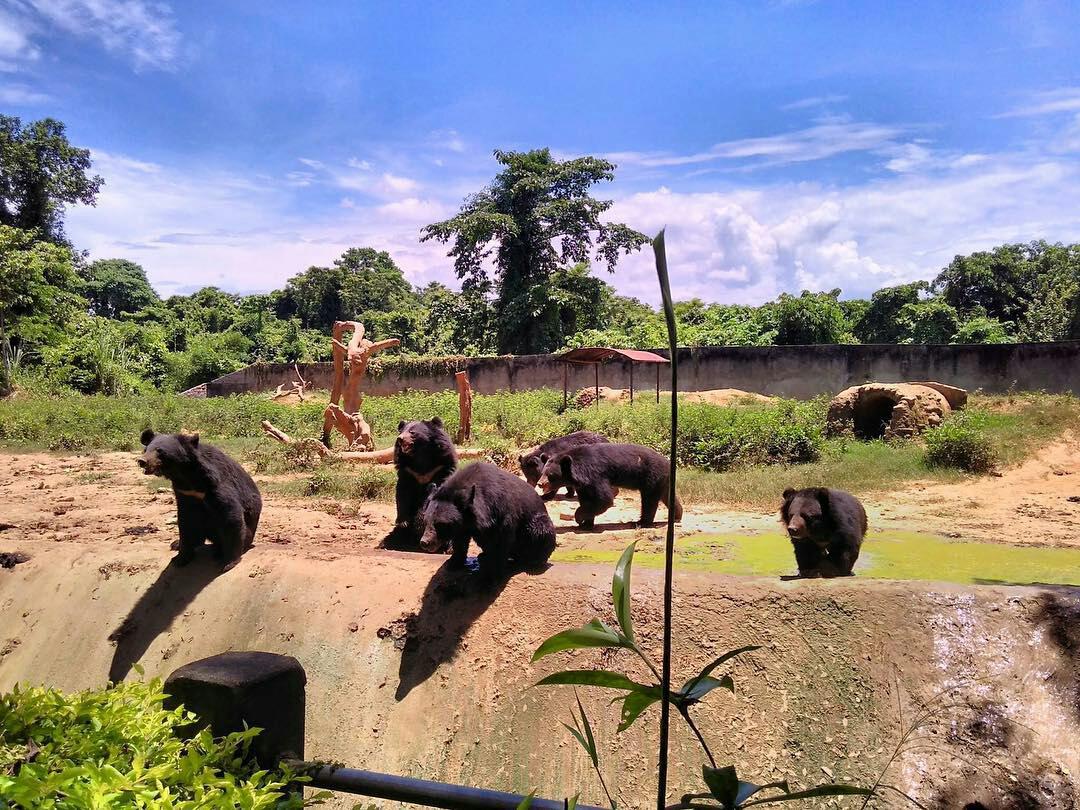 nagaland zoological park