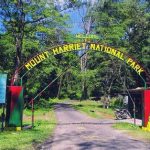 Mount Harriet National Park