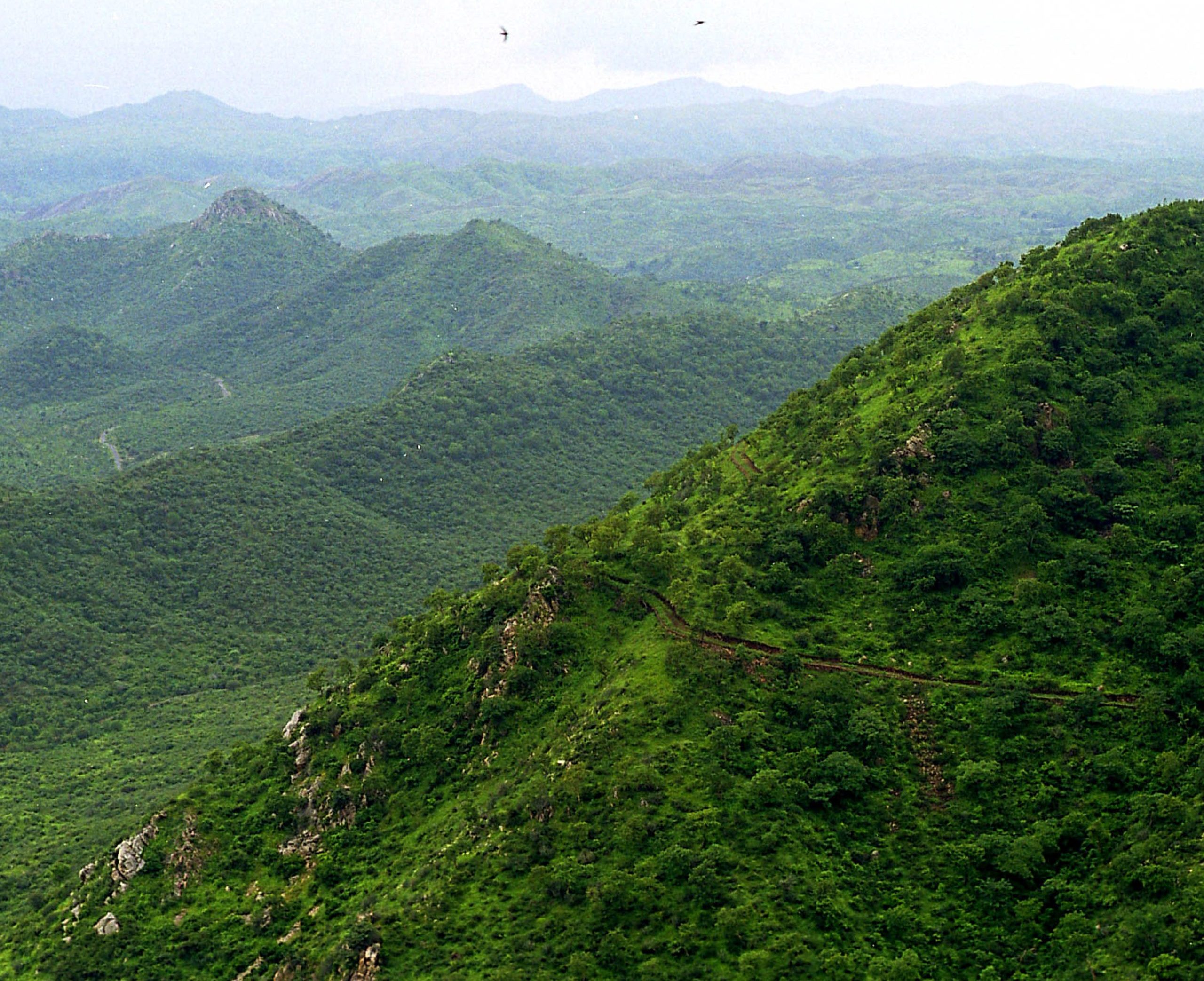 Aravalli Hills Trek