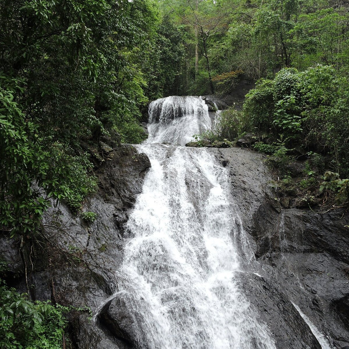 Bamanbudo Waterfall Trek