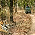 Bandhavgarh National Park Trek