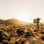 Desert National Park Trek