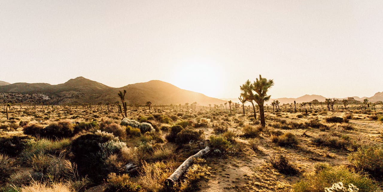 Desert National Park Trek