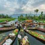 Floating Vegetable Market