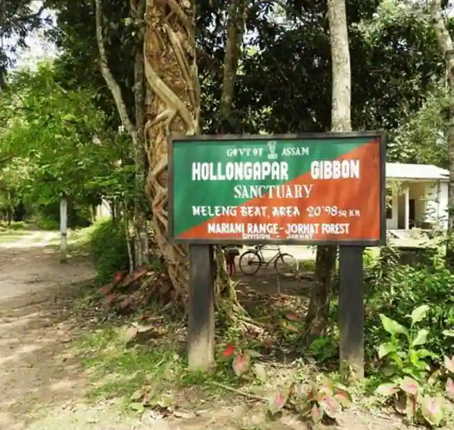 Gibbon Wildlife Sanctuary Trek