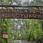 Karnala Bird Sanctuary Trek