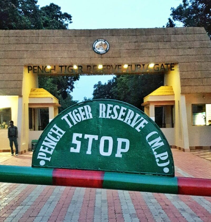Pench National Park