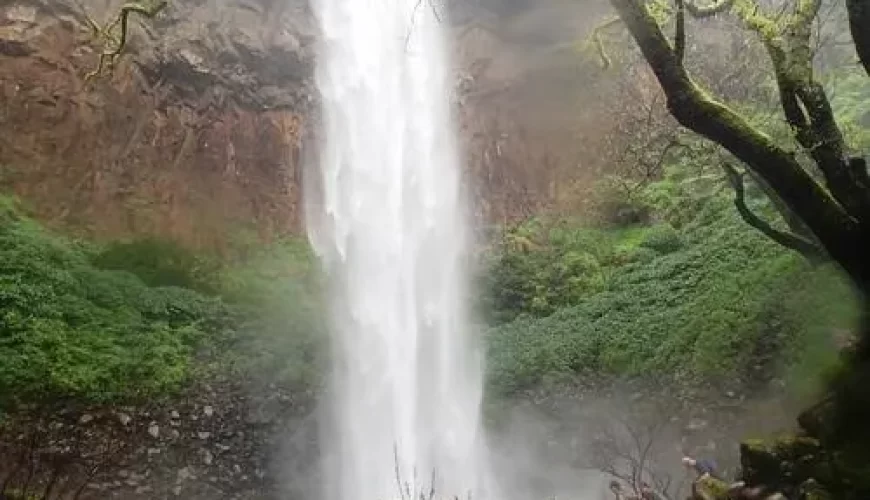 Sada Waterfall Trek