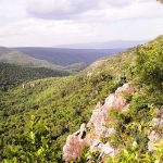 Sri Venkateswara National Park Trek
