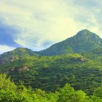 Thiruvannamalai Hills Trek