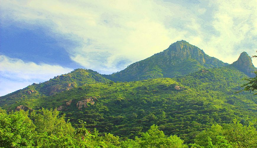 Thiruvannamalai Hills Trek
