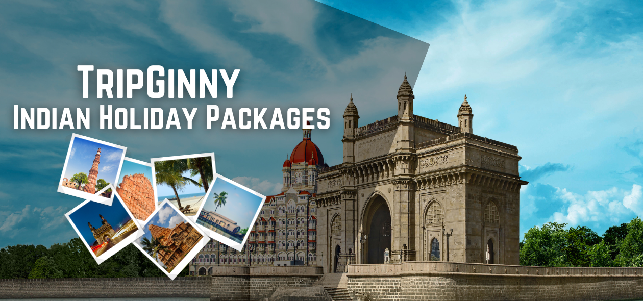 Best Holiday Packages | TripGinny Holidays