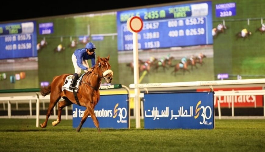 Abu Dhabi Equestrian Club