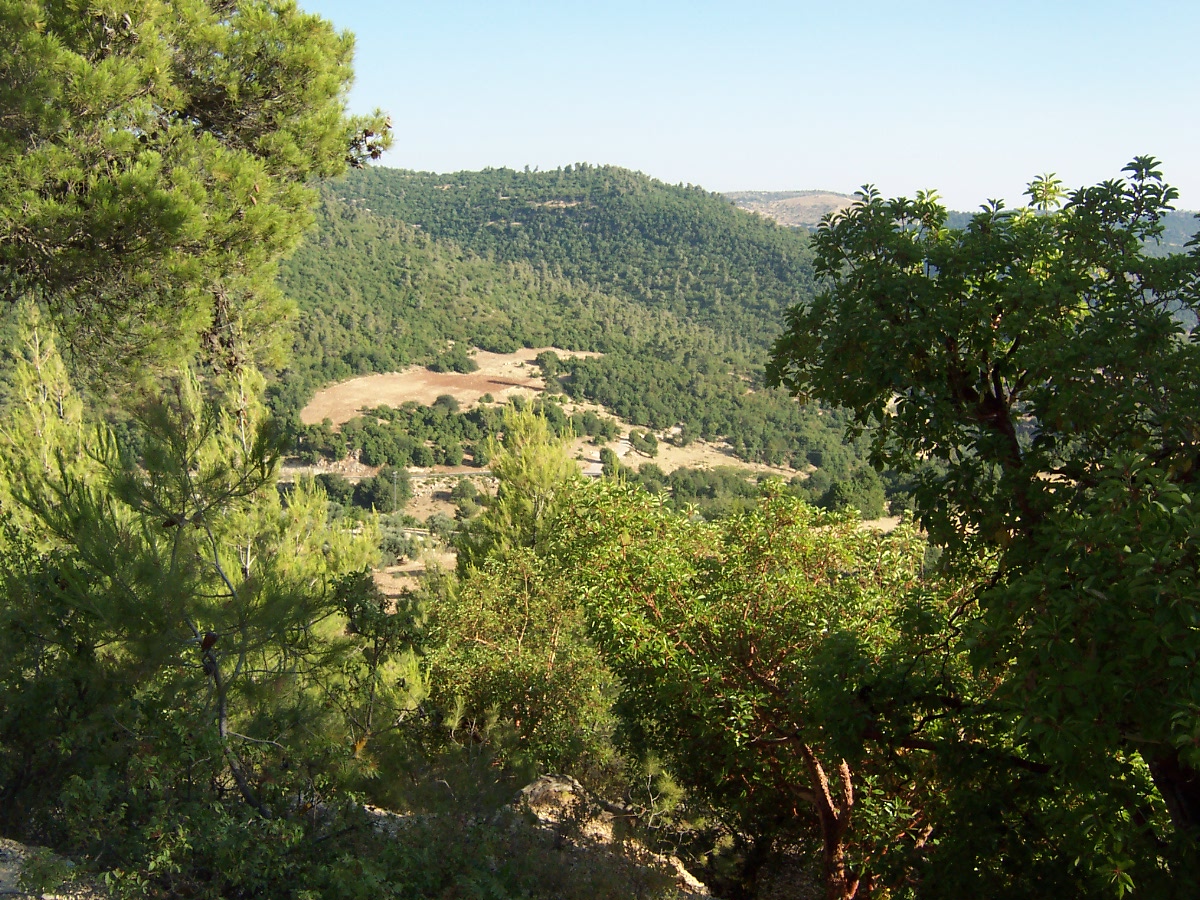 Ajloun Forest Reserve
