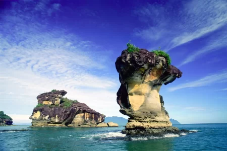 Borneo Wildlife Discoverer Tour Package (14 Nights / 15 Days)