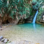 Ein Gedi Nature Reserve (Dead Sea Region)