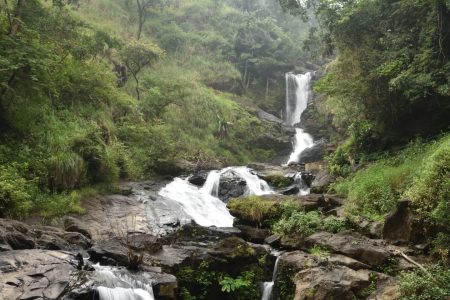 Karnataka- Coorg – Talakaveri – Iruppu Falls – Nagarhole Tour Package (2 Nights / 3 Days)