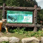 Jigme Dorji Wildlife Sanctuary || Bhutan