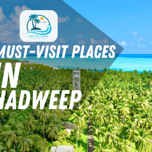 44 Must Visit Places To Visit In Lakshadweep