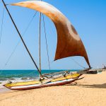 Negombo Beach || Sri Lanka