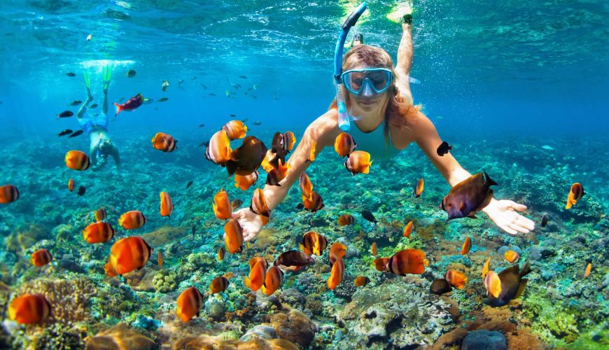 Scuba Diving and Snorkeling sites
