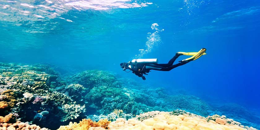 Scuba Diving and Snorkeling sites in Lakshadweep