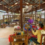 Silk Farm (Siem Reap)
