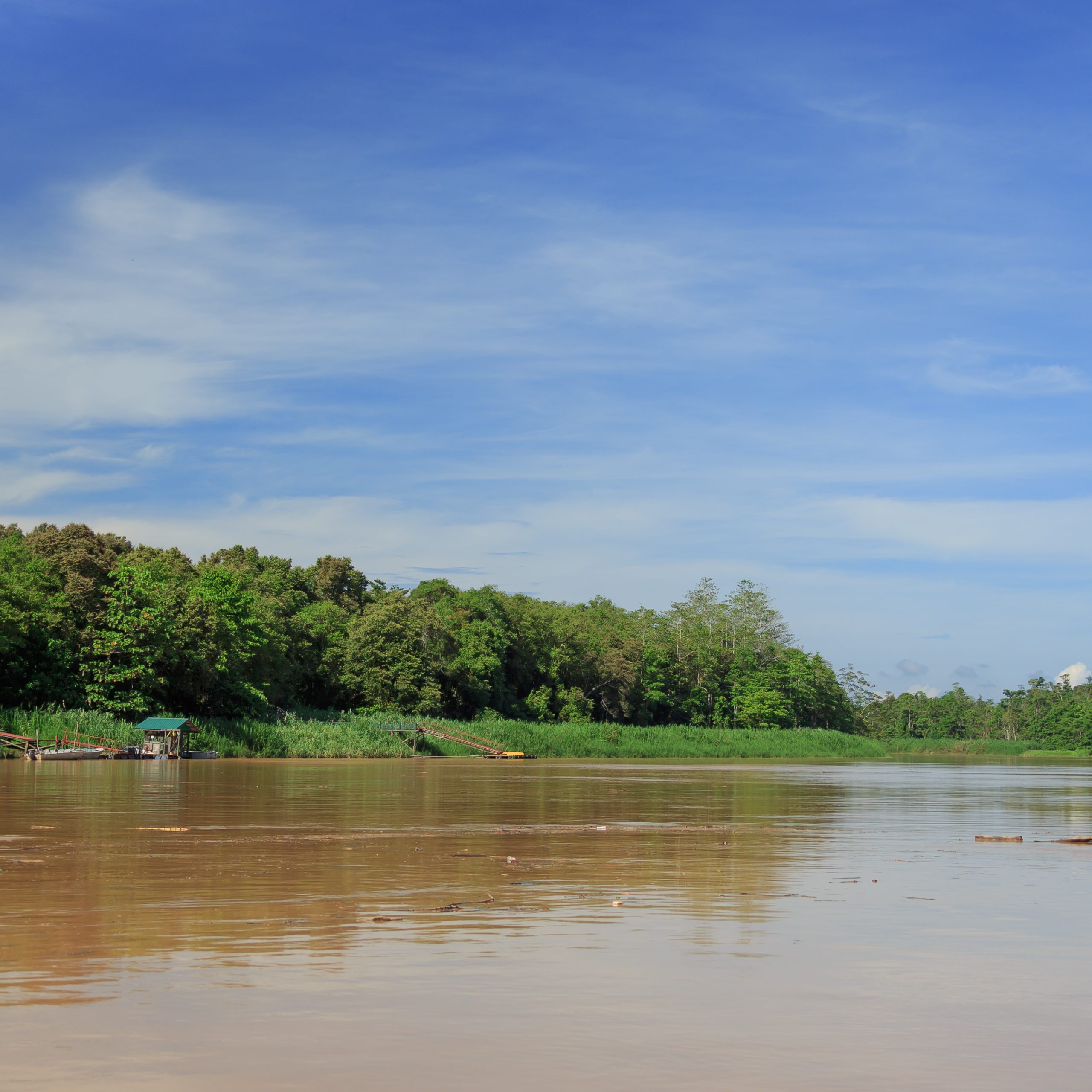 Sungai Kinabatangan, Borneo Island