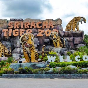 Tiger Park || Pattaya
