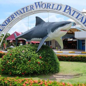 Underwater World || Pattaya