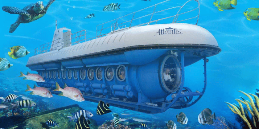 Whale Submarine