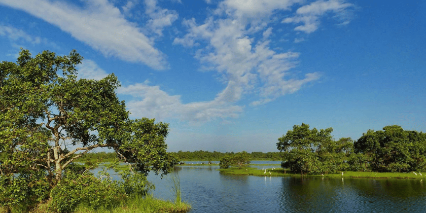 Kalametiya Bird Sanctuary